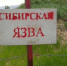 Сибирская язва: особо опасна! - Газета Наша жизнь