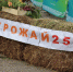 «Урожай»-2025!. - Сыктывдинский район