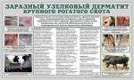 Памятка владельцам сельскохозяйственных животных