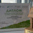 Почта России установила рекорд по сбору макулатуры  в акции «БумБатл». - Сыктывдинский район